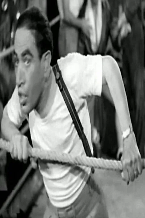 Umm Kulthum ha trabajado con Ali Tabangat en 1 ocasiones