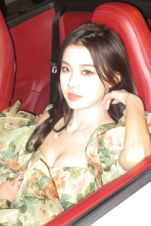 Sheng Wei ha trabajado con Beichuan Wanwan en 1 ocasiones