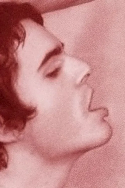 Michael Delfino ha trabajado con Bob en 1 ocasiones