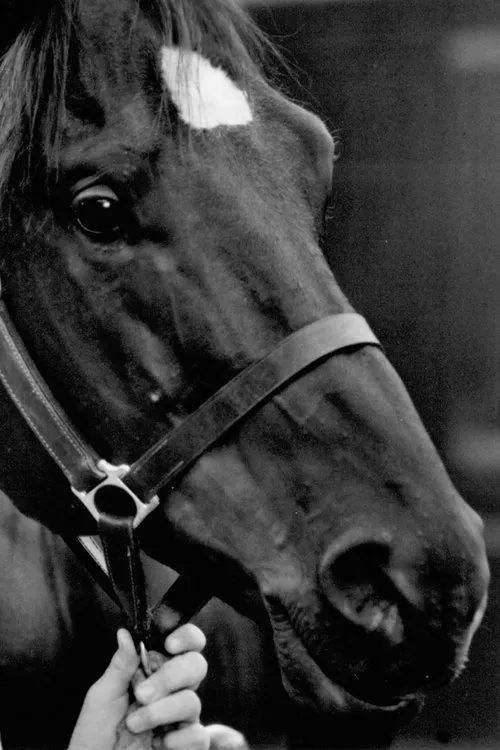 Allison Moorer ha trabajado con Docs Keepin Time en 1 ocasiones