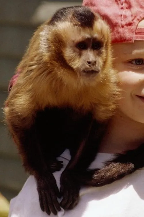 Finster interpretando a Dodger