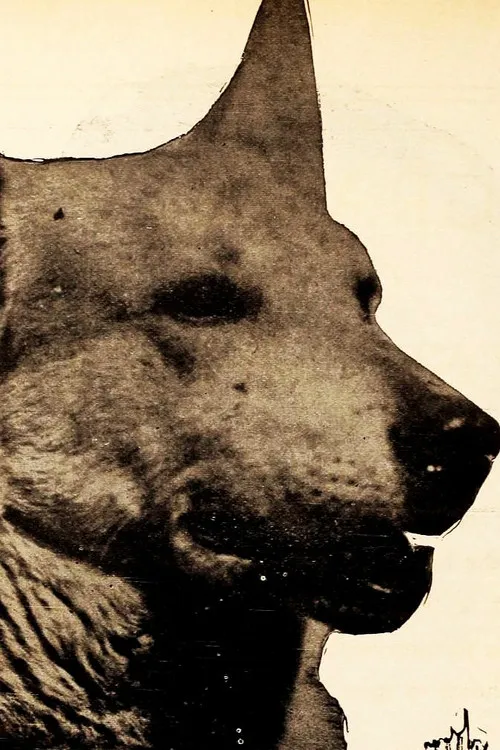 Lightning the German Shepard dog interpretando a Lightning - the Dog