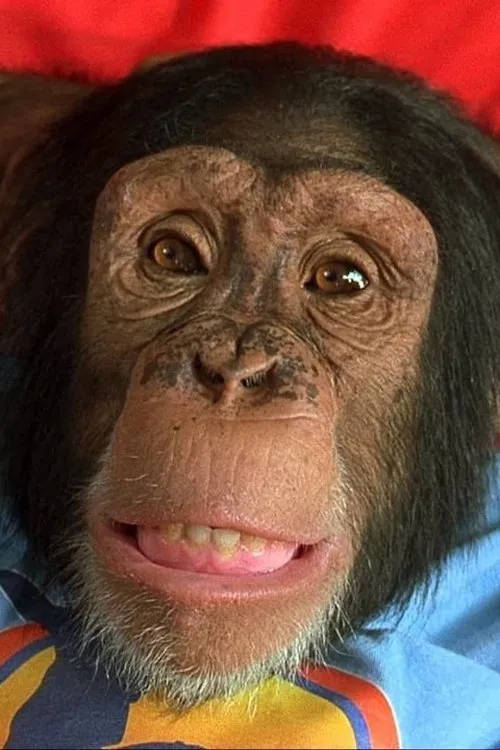 Bjorn Leines ha trabajado con Louie en 1 ocasiones