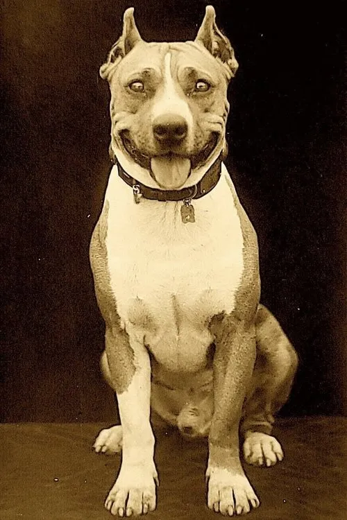 Jimmy Bryant ha trabajado con Luke the Dog en 3 ocasiones