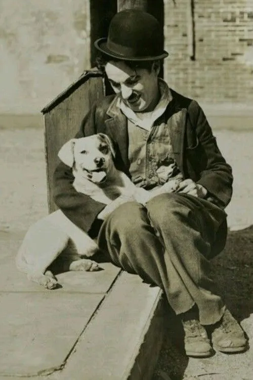 Margaret Cullington ha trabajado con Mut en 2 ocasiones