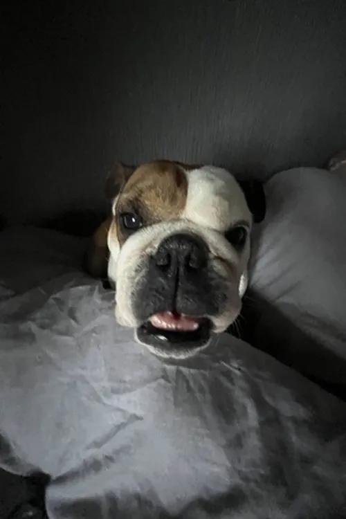 Charlie O'Mathony ha trabajado con Rosie en 1 ocasiones