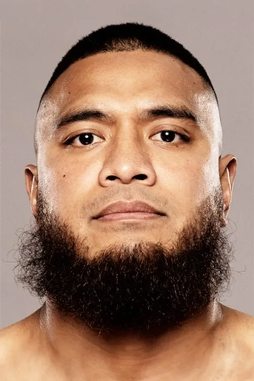 Hassan Hamdan ha trabajado con Toese Vousiutu en 1 ocasiones