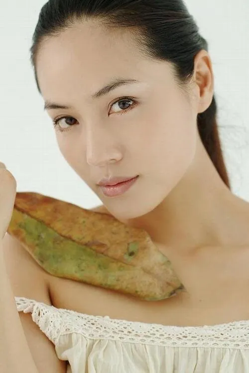 Baomin Zheng ha trabajado con Xin Liang en 1 ocasiones