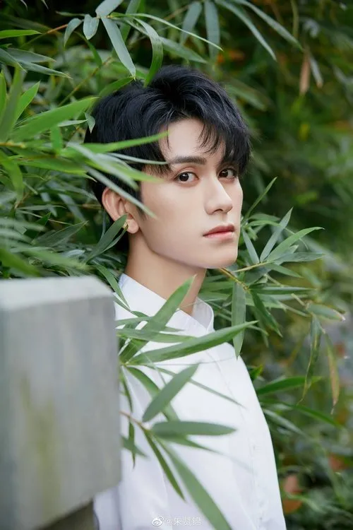 Zhu Zanjin — personaje: Li Tai