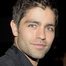 Adrian Grenier como Nick Brewer