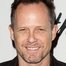 Dean Winters como Tony Silvercreek