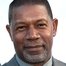Dennis Haysbert como David Palmer