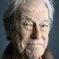Gordon Pinsent como Captain Longstocking