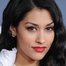 Janina Gavankar como Diana Thomas