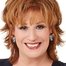 Joy Behar como Ann