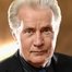 Martin Sheen como Karl Lessing