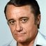 Robert Vaughn como Albert Stroller