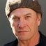 Ted Levine como Lieutenant Hank Wade
