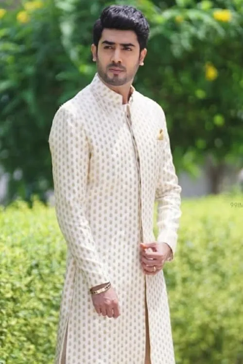 Akshay Mhatre — personaje: Naren Vyas