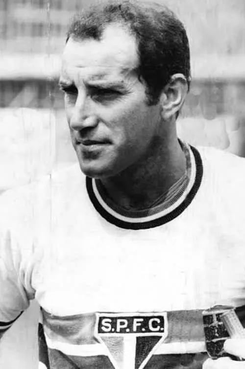 Luiz Gonzaga Belluzzo ha trabajado con Gérson en 1 ocasiones