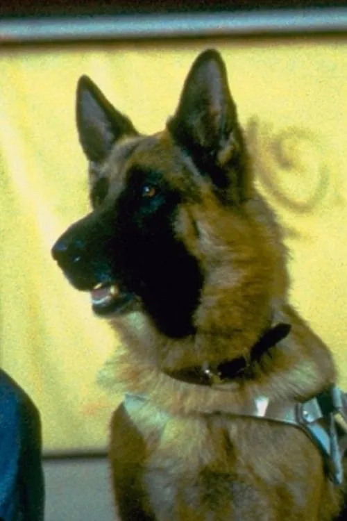 King interpretando a Jerry Lee