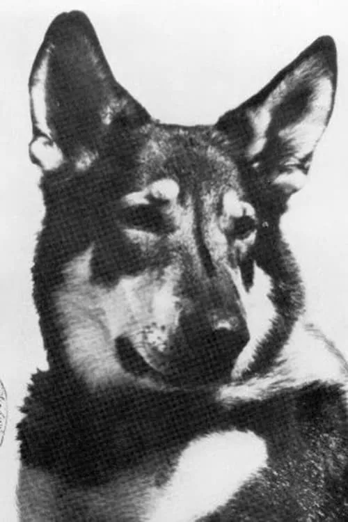 London — personaje: Hobo (as London the Dog)