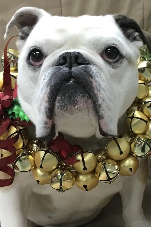 Nellie interpretando a Marvin