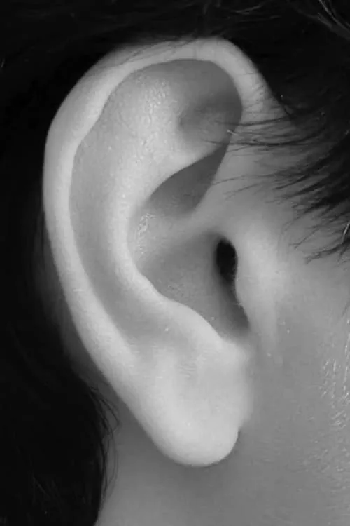 Tibor Laurent ha trabajado con Noah Planes en 1 ocasiones