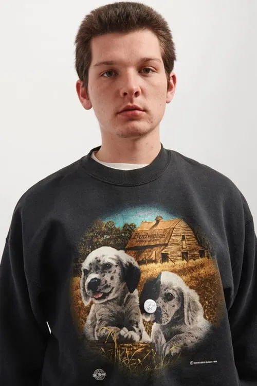 Brian O'Dwyer ha trabajado con Sully Cormier en 3 ocasiones