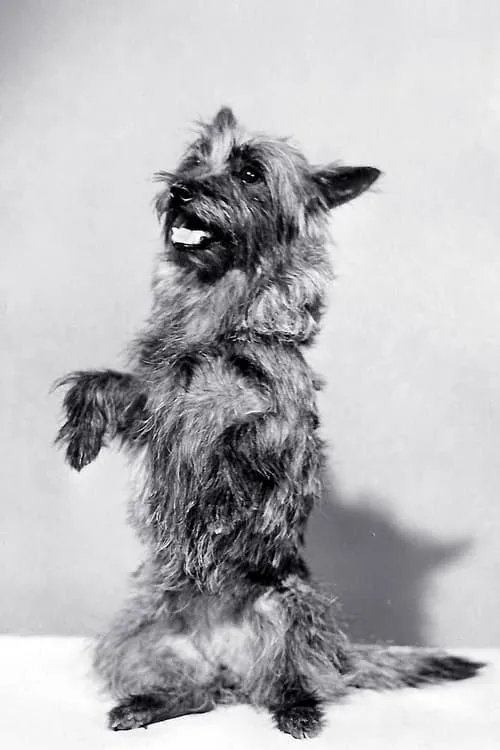 James Quinn ha trabajado con Terry en 2 ocasiones