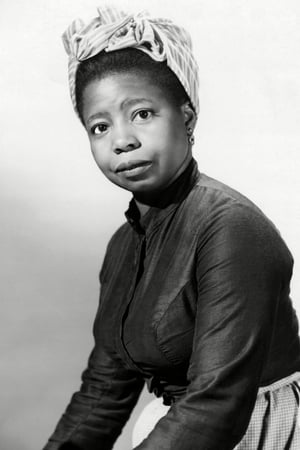 Dusty Fletcher ha trabajado con Butterfly McQueen en 1 ocasiones