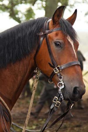 Robert Emms ha trabajado con Finder's Key en 2 ocasiones