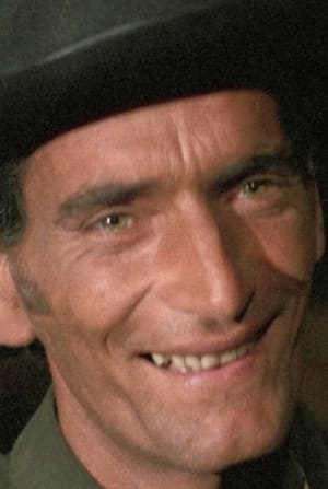 Aysanoa Runachagua ha trabajado con Giglio Gigli en 2 ocasiones