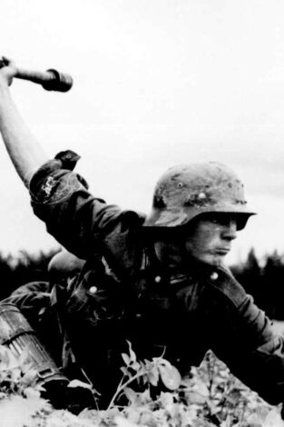 Carátula de Cómo perder una guerra: El frente interno