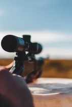 Carátula de Codornices salvajes de Loscos