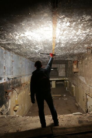 Carátula de Curiosidades de la Tierra: Misterio del bosque maldito