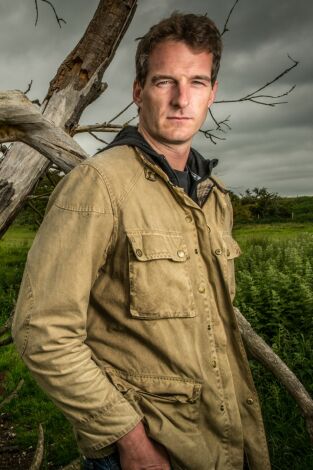 Carátula de Descubriendo a los vikingos