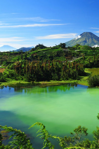 Carátula de Descubrir: Nepal salvaje