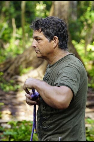 Carátula de Escuela de orangutanes: El camino hacia la recuperación