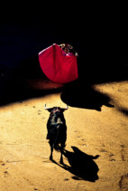 Carátula de La tierra del toro -