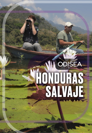 Carátula de Honduras salvaje