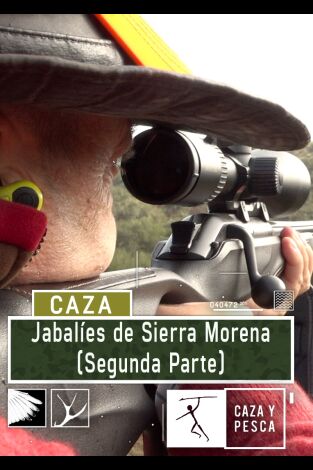 Carátula de Jabalíes de Sierra Morena, 2ª parte