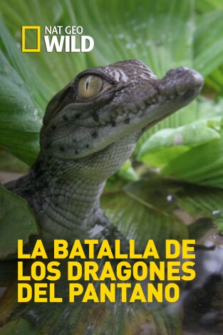 La batalla de los dragones del pantano en la programación de Nat Geo Wild HD (Documentales)