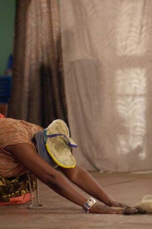 Carátula de La controversia del arte