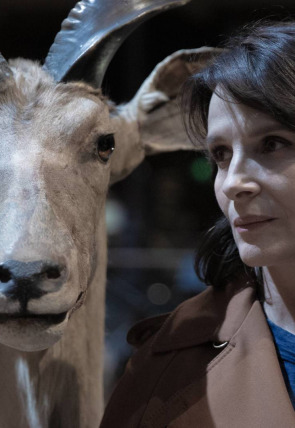 Carátula de La fábrica de pandemias con Juliette Binoche