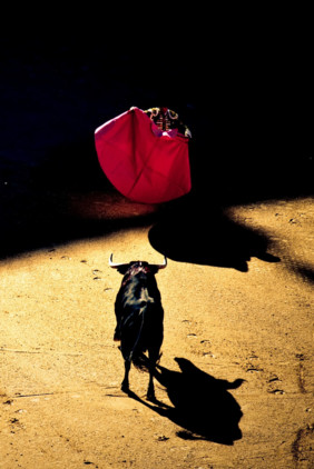 Carátula de La tierra del toro - 