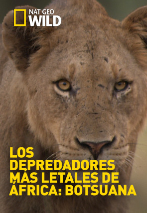 Carátula de Los depredadores más letales de África · Cazadores al acecho