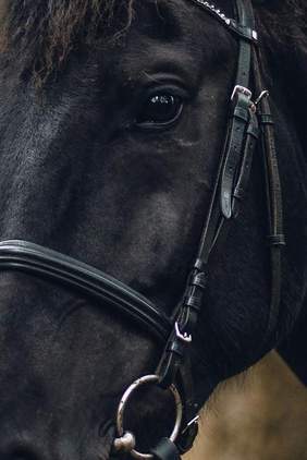 Carátula de Forrar tu hierro con Latex