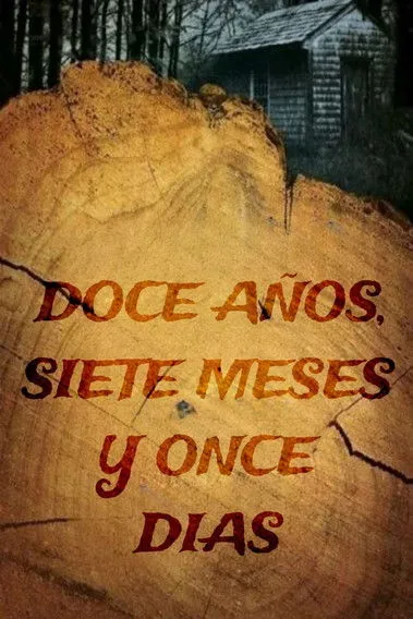 Póster de 12 años, 7 meses y 11 días