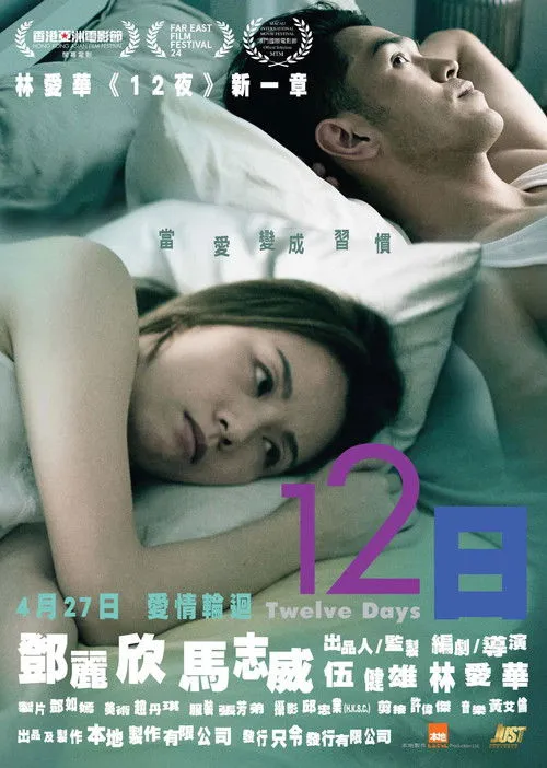 Póster de la película 12 días